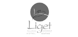Liget